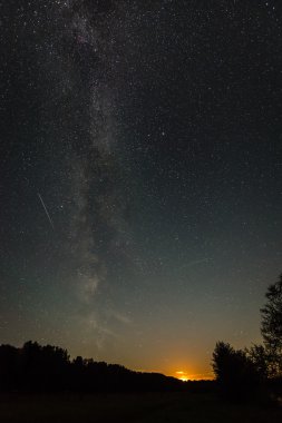 Güzel Samanyolu galaksisinin bir gece gökyüzü ve ağaç silüeti
