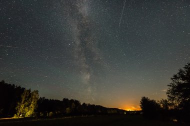 Güzel Samanyolu galaksisinin bir gece gökyüzü ve ağaç silüeti