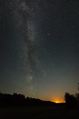 Güzel Samanyolu galaksisinin bir gece gökyüzü ve ağaç silüeti