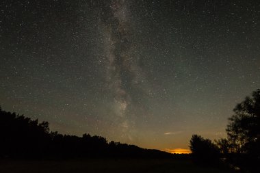Güzel Samanyolu galaksisinin bir gece gökyüzü ve ağaç silüeti