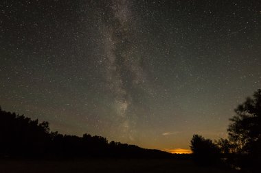 Güzel Samanyolu galaksisinin bir gece gökyüzü ve ağaç silüeti