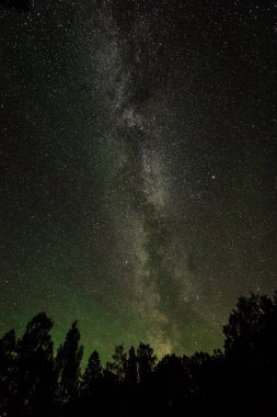 Güzel Samanyolu galaksisinin bir gece gökyüzü ve ağaç silüeti