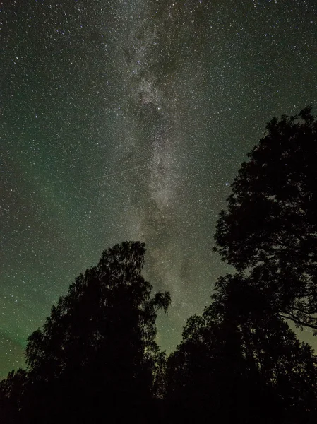 Bela galáxia de caminho leitoso em um céu noturno e silhueta de árvore — Fotografia de Stock