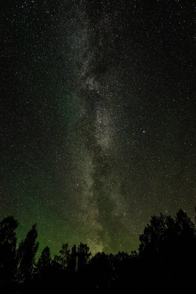 Bela galáxia de caminho leitoso em um céu noturno e silhueta de árvore — Fotografia de Stock
