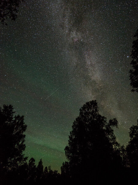 Красивая галактика Млечный Путь на ночном небе и силуэт дерева
