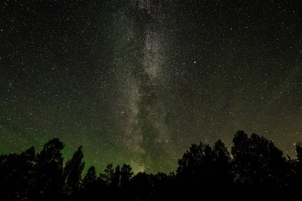 Bela galáxia de caminho leitoso em um céu noturno e silhueta de árvore — Fotografia de Stock