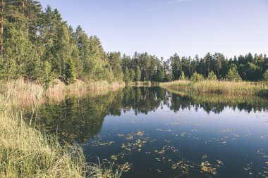 güzel nehir orman - vintage film etkisi