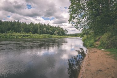 güzel nehir orman - vintage film etkisi
