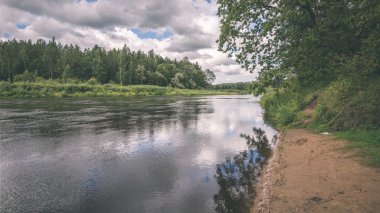 güzel nehir orman - vintage film etkisi
