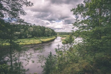 güzel nehir orman - vintage film etkisi