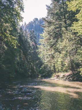 güzel nehir orman - vintage film etkisi