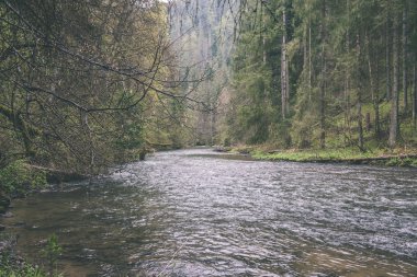 güzel nehir orman - vintage film etkisi