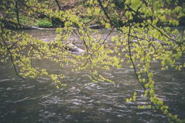 güzel nehir orman - vintage film etkisi
