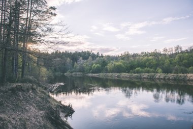 güzel nehir orman - vintage film etkisi