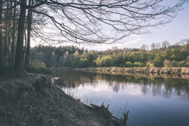 güzel nehir orman - vintage film etkisi