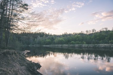 güzel nehir orman - vintage film etkisi