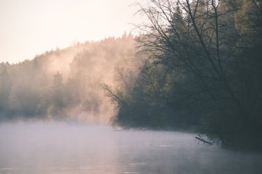 güzel sisli nehir orman - vintage film etkisi