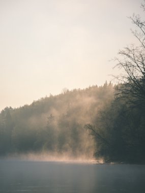 güzel sisli nehir orman - vintage film etkisi