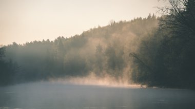 güzel sisli nehir orman - vintage film etkisi