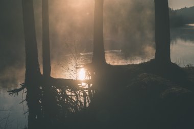 güzel sisli nehir orman - vintage film etkisi