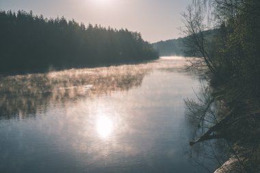 güzel sisli nehir orman - vintage film etkisi