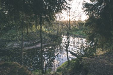 güzel nehir orman - vintage film etkisi