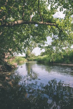güzel nehir orman - vintage film etkisi