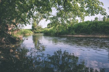 güzel nehir orman - vintage film etkisi