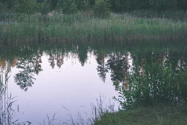Vackra floden i skogen - vintage film effekt — Stockfoto