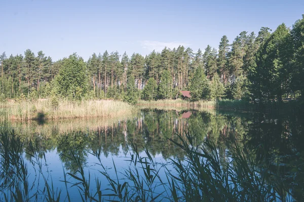 Krásná řeka v lese - efekt retro filmu — Stock fotografie