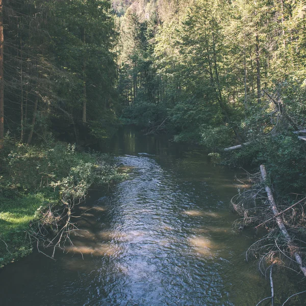 Belle rivière en forêt - effet film vintage — Photo