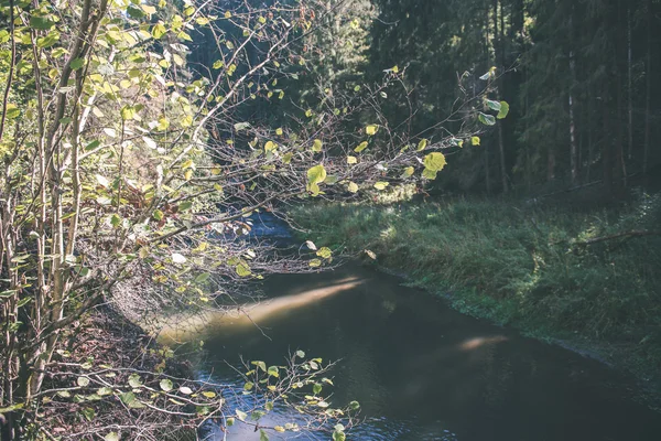 Belle rivière en forêt - effet film vintage — Photo