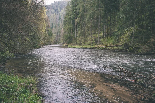 Krásná řeka v lese - efekt retro filmu — Stock fotografie