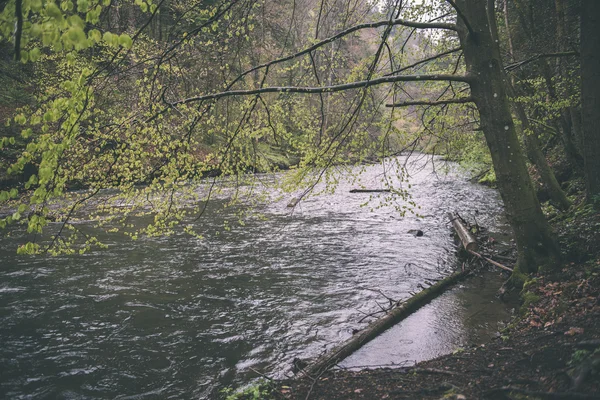 Vackra floden i skogen - vintage film effekt — Stockfoto