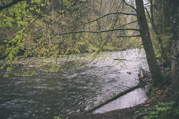 Belle rivière en forêt - effet film vintage — Photo