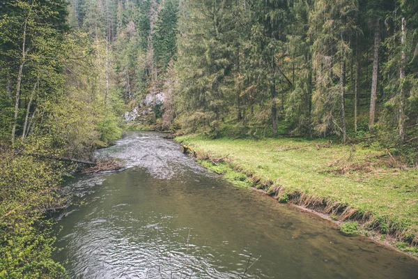 Beautiful river in forest - vintage film effect — Stock Photo, Image