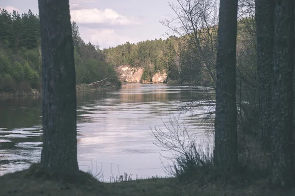 Güzel nehir orman - vintage film etkisi — Stok fotoğraf