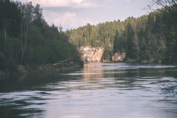 Hermoso río en el bosque - efecto de película vintage — Foto de Stock