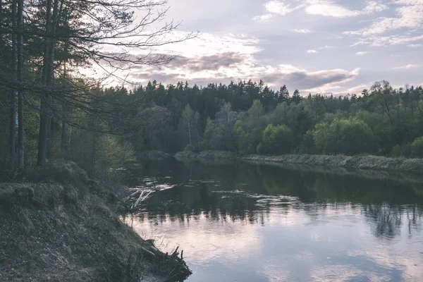 美丽的河，在森林-怀旧电影效果 — 图库照片