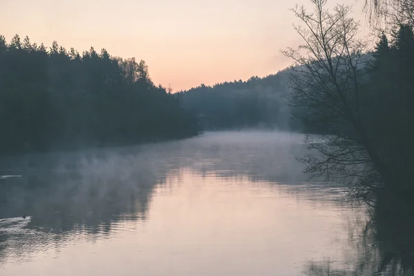 Hermoso río brumoso en el bosque - efecto de película vintage —  Fotos de Stock