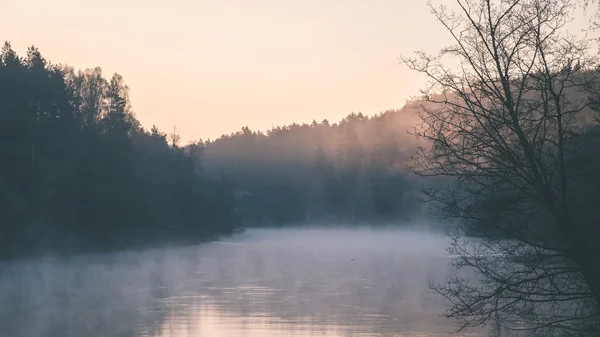 Belle rivière brumeuse en forêt - effet film vintage — Photo