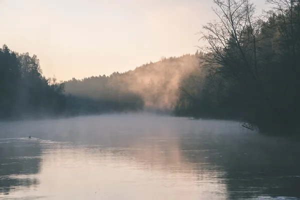 Piękne rzeki mglisty w lesie - efekt vintage filmu — Zdjęcie stockowe