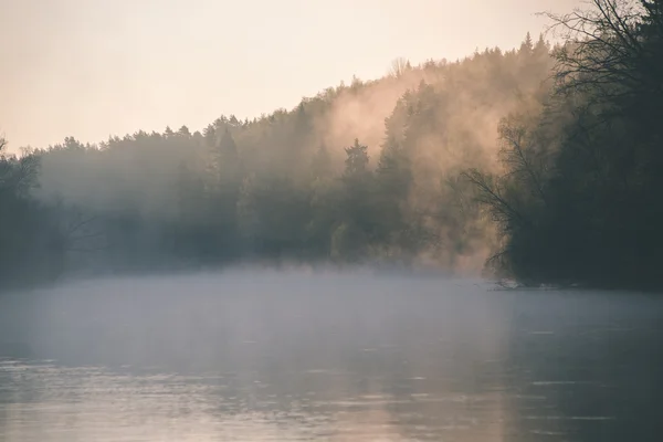 Piękne rzeki mglisty w lesie - efekt vintage filmu — Zdjęcie stockowe
