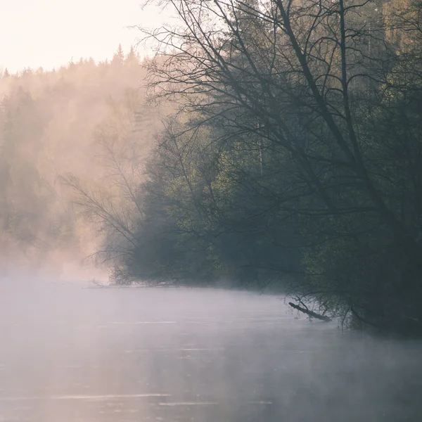 Hermoso río brumoso en el bosque - efecto de película vintage — Foto de Stock