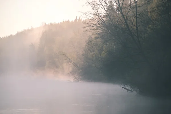 Beautiful foggy river in forest - vintage film effect — Stock Photo, Image