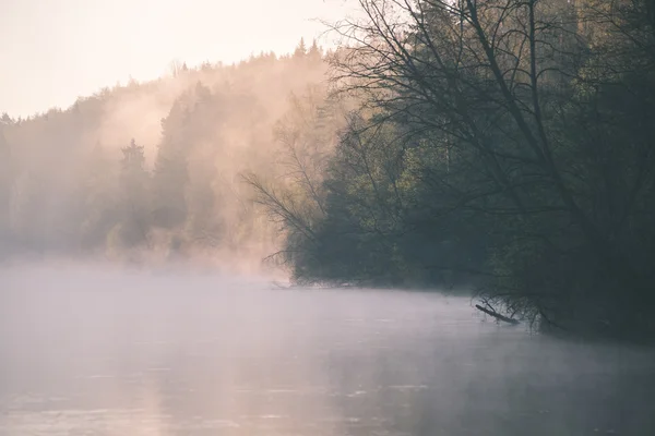 Beautiful foggy river in forest - vintage film effect — Stock Photo, Image