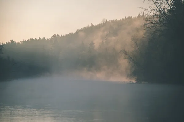 Hermoso río brumoso en el bosque - efecto de película vintage —  Fotos de Stock