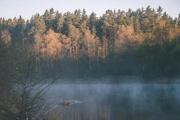 Belle rivière brumeuse en forêt - effet film vintage — Photo
