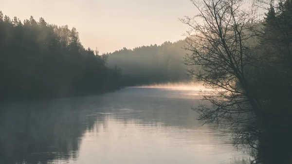 Hermoso río brumoso en el bosque - efecto de película vintage —  Fotos de Stock