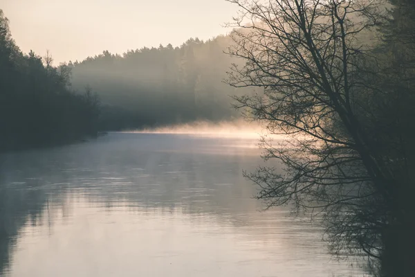 Hermoso río brumoso en el bosque - efecto de película vintage —  Fotos de Stock